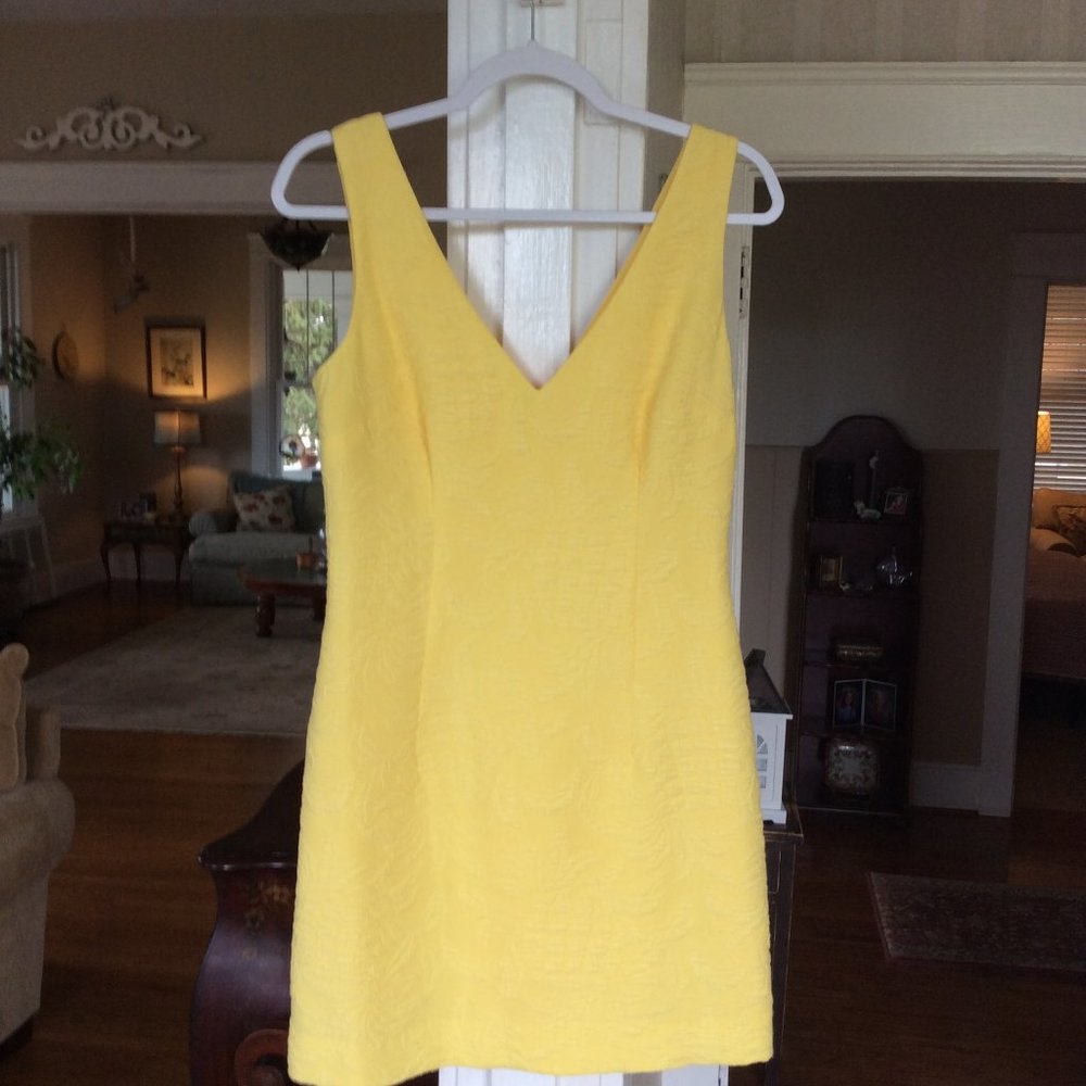 Lilly Dress!